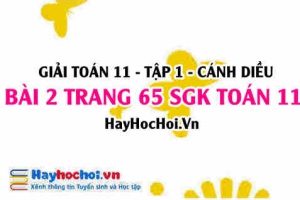 Giải bài 2 trang 65 Toán 11 tập 1 SGK Cánh Diều